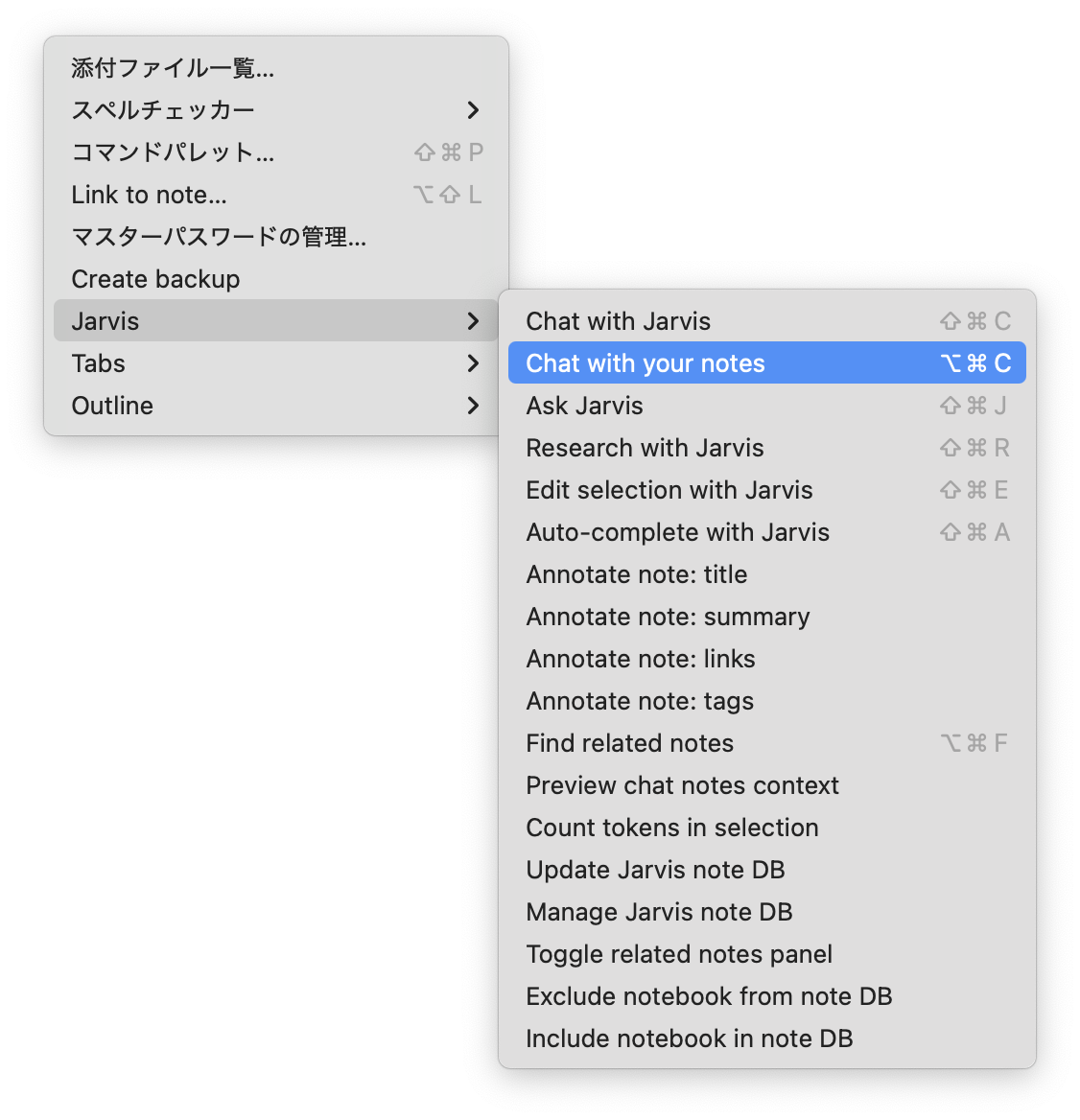 Joplin Jarvis Chat with notes